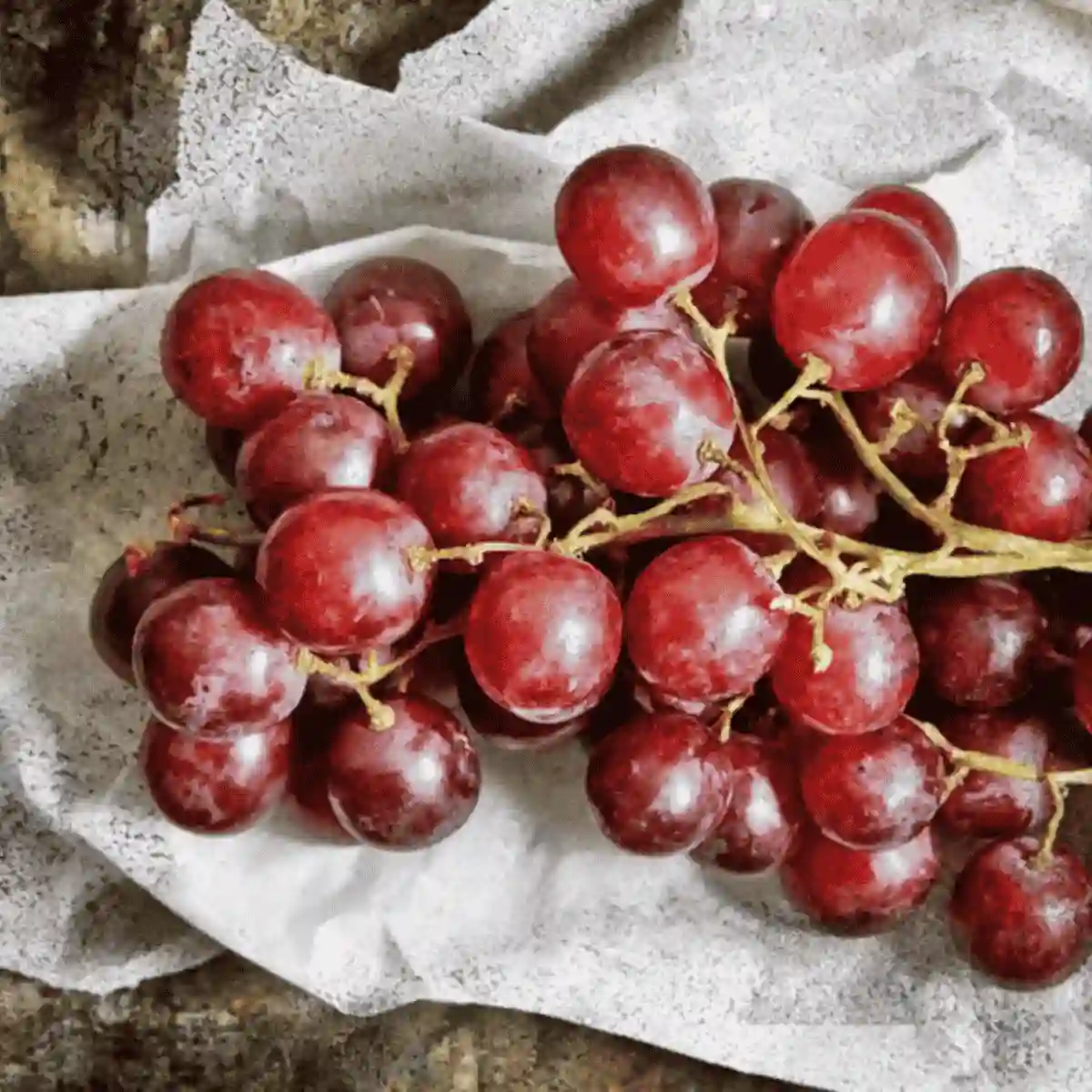 resveratrol